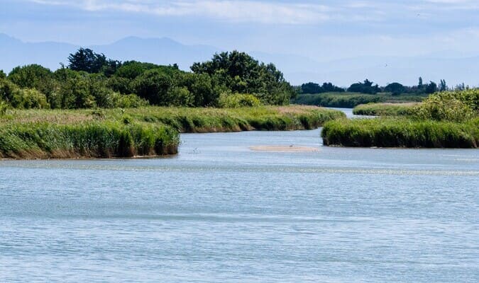 Etang de Barcarès