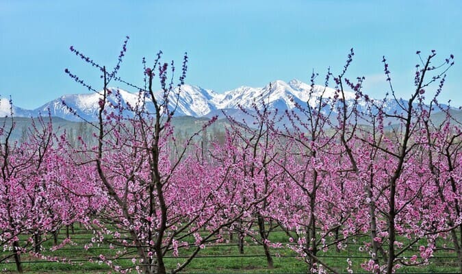 Pyrénées Catalanes